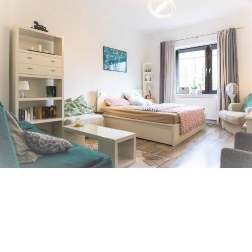 Beautiful 1-Room apartment, near Rhine