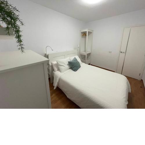 Beautiful 3 Bd. Apartment in La Laguna City Centre