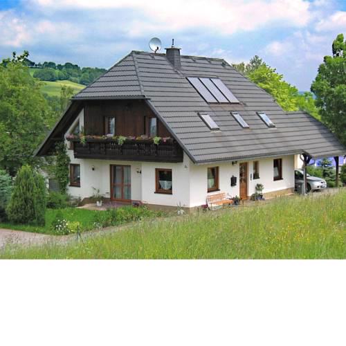 Beautiful Apartment in Pohla Saxony near Ski Area