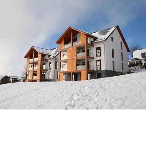 Beautiful Apartment near Neuastenberg near Ski Area