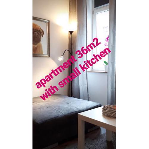 Beautiful apartment near the centre
