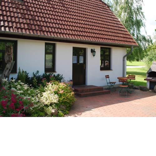 Beautiful Mansion in Dargun Mecklenburg with Swimming Pool