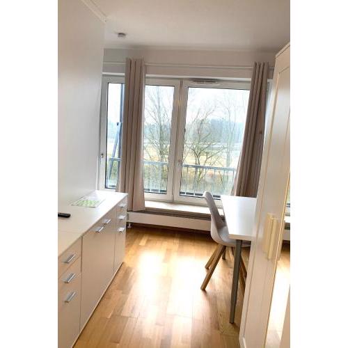 Beautiful Premium Apartment, Near University , WIFI , Free Parking