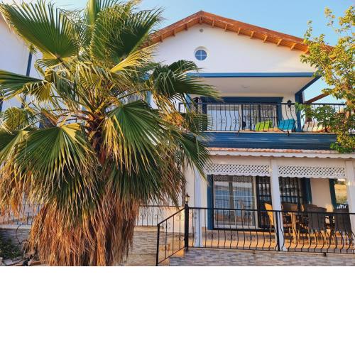 Beautiful villa at 1 meter from sea. (Rent CGvilla 2020-80)