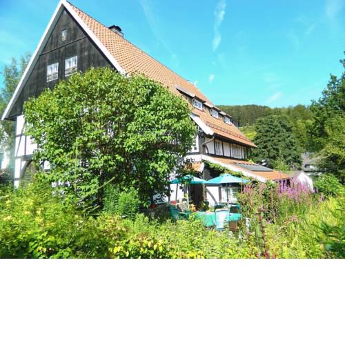 Historic Holiday Home in Hoppecke near Ski Area