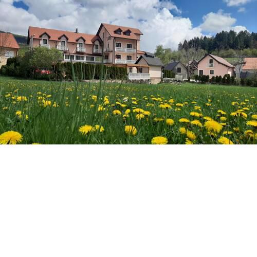 Bed and Breakfast Konoba Jure