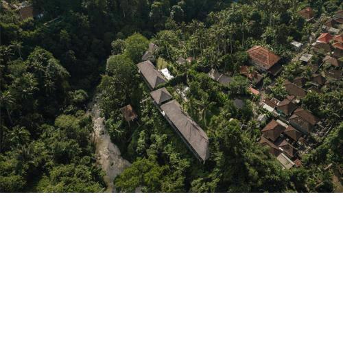 Bedulu Cliff Estate Ubud - Tree Top