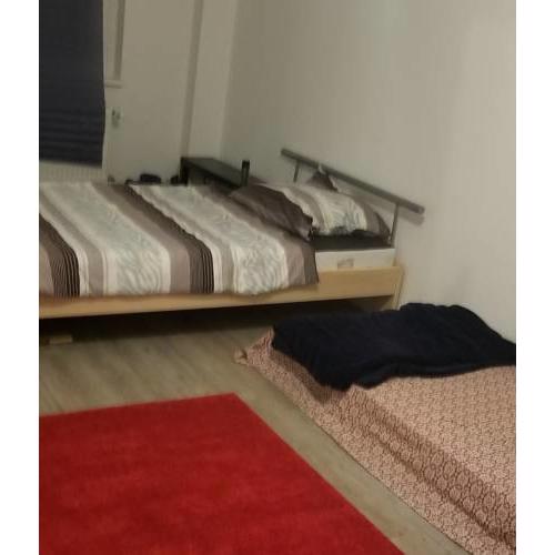 Bed/Washroom/Kitchen