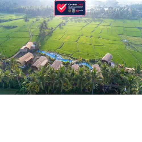 Beehouse Dijiwa Ubud