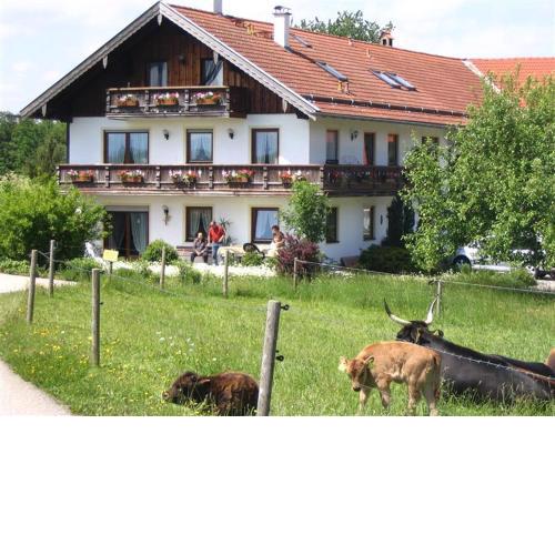 Beim Rieder