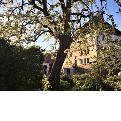 Beim Schloß Michel