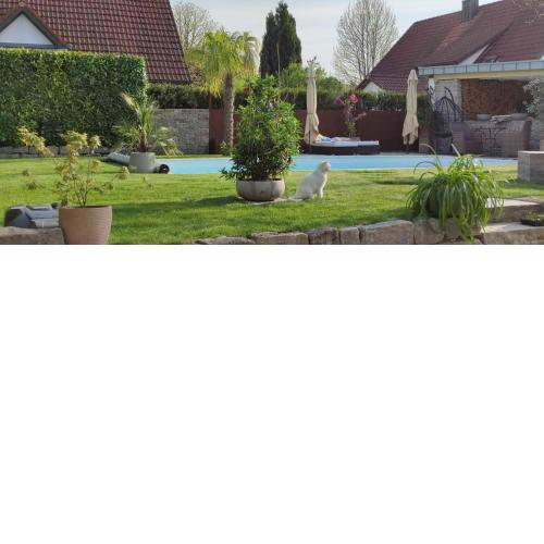 Bel giardino