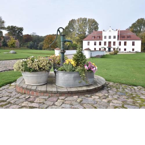 Gothic Apartment in Satow with Garden
