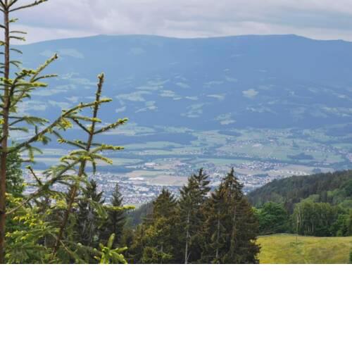 Bella Vista
