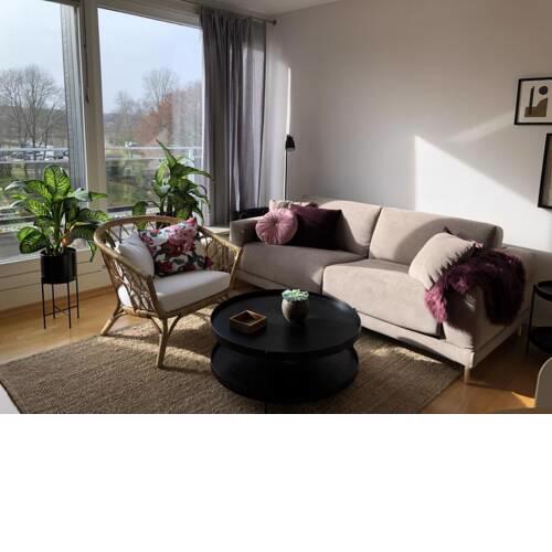 Bellevue Nr. 36