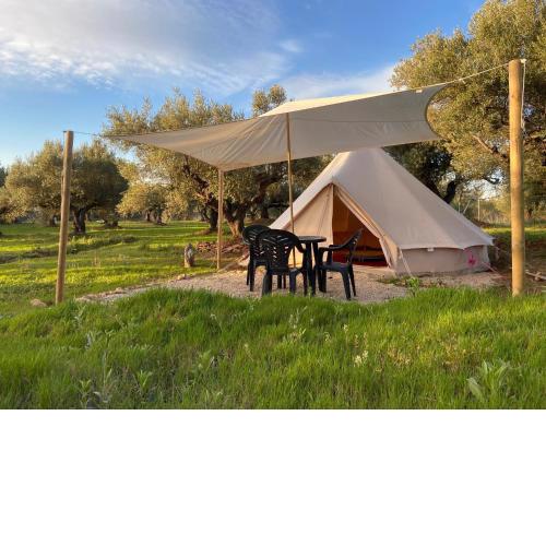 Bellissima Bell tent