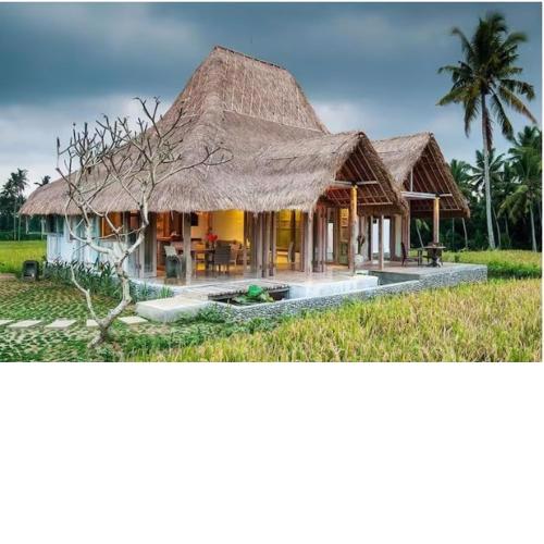 Bennu House