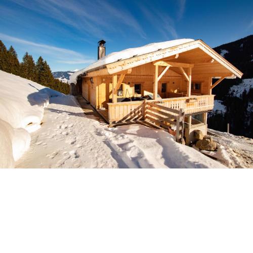 Berg- und Skihütte Almleben FUE006