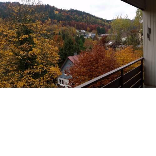 Bergblick Ferienwohnung Schwarzwald