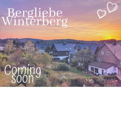 Bergliebe Winterberg