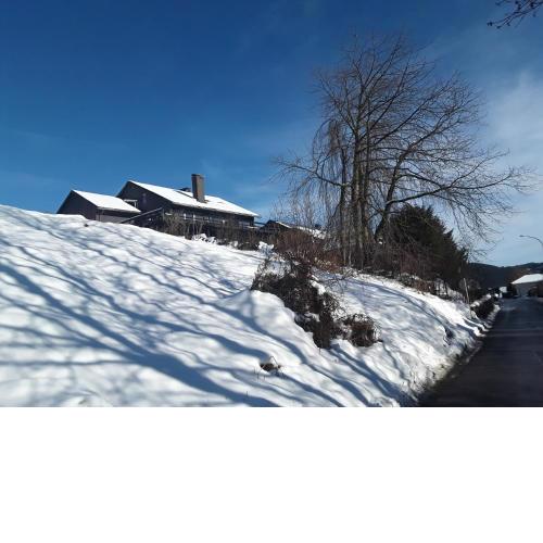 BergVilla Willingen