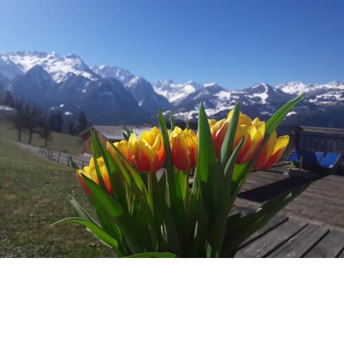 Bergwelten