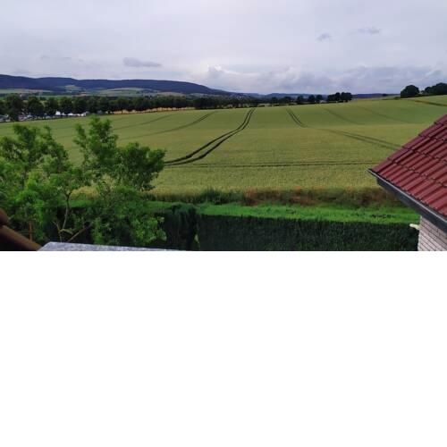 Berkeler Blick