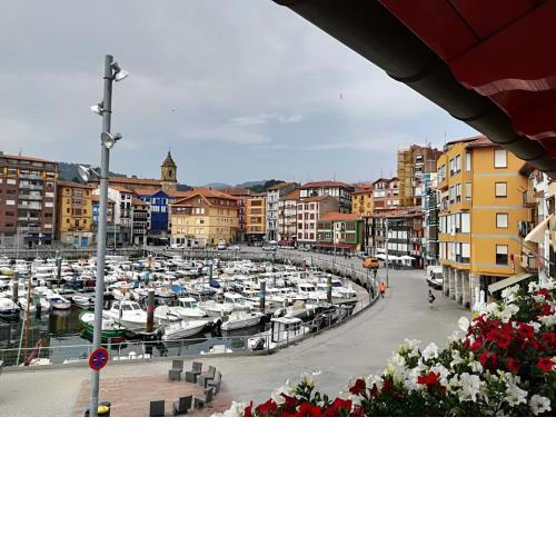 Bermeo Portu-Zarra