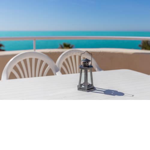 Bermuda beach 15