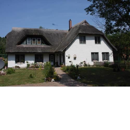 Bernsteinchen