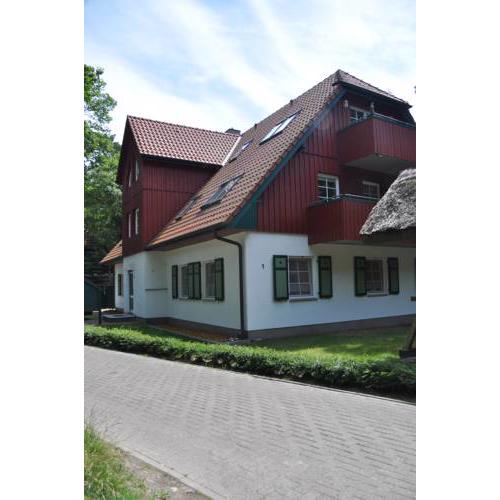 Bernsteintraum Apartment 60