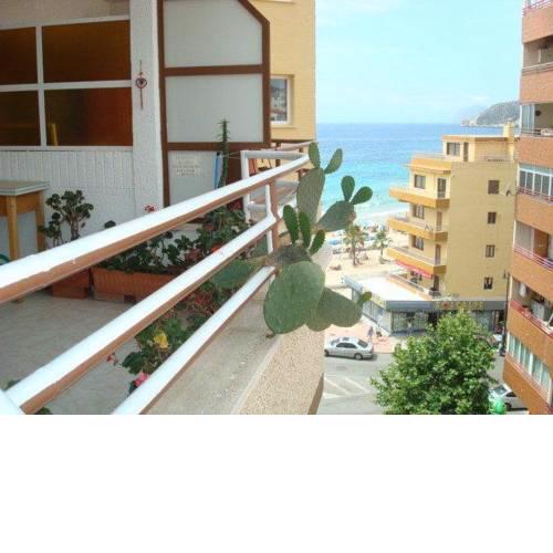 Bertur Arenal