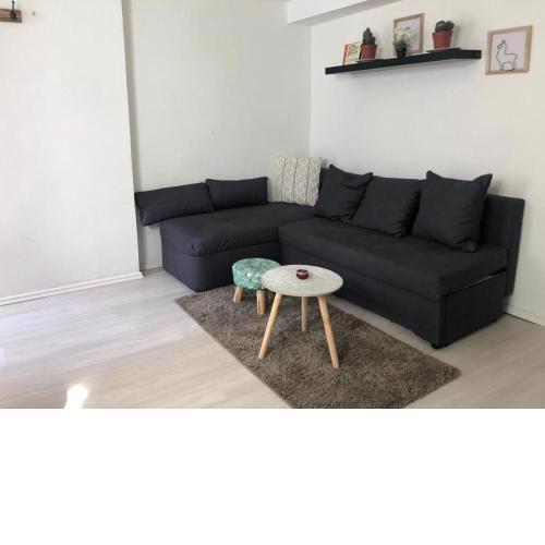 Bescheidene Untergeschoss Wohnung in guter Lage.