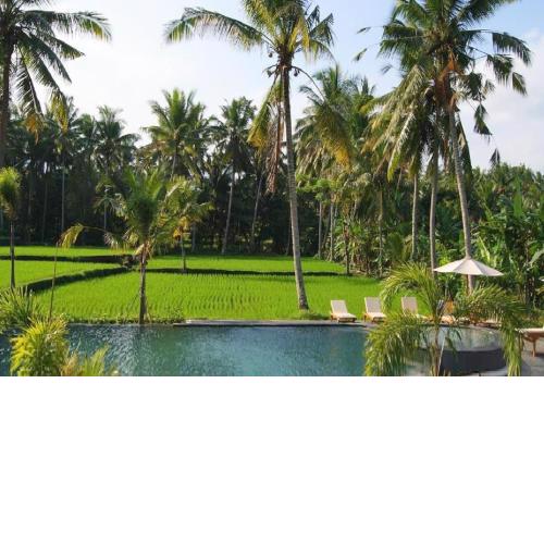 Bhanuswari Villas Ubud