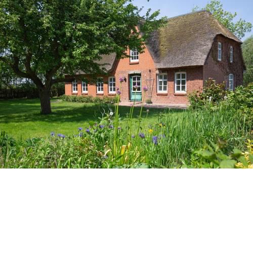 Bibis Hus