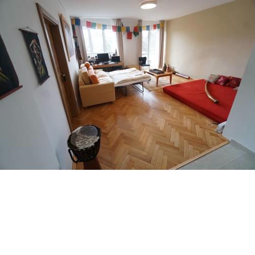 Big charming apt on Castle Hill