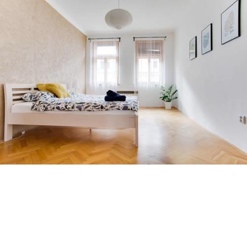 Big family apartment