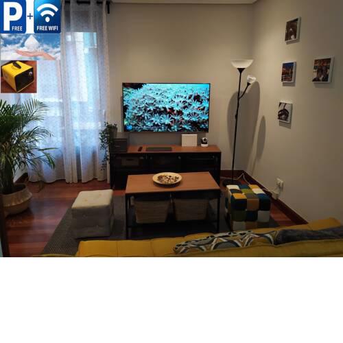 Bilbao Center Apt parking FREE