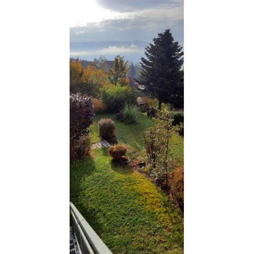 Bine's Home