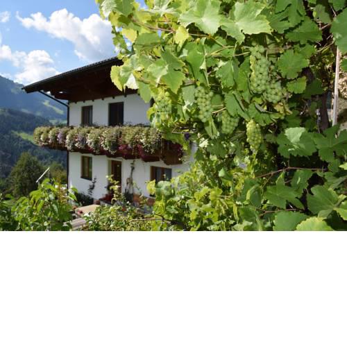 Bio Bauernhof Oberbenk