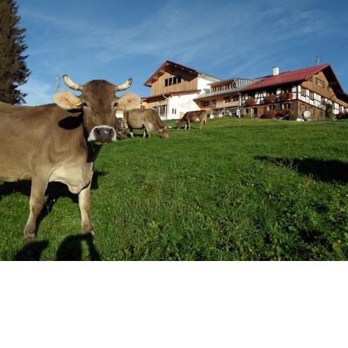 Bio-Bergbauernhof Jäck