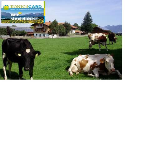 Bio-Ferienhof Beim Sima
