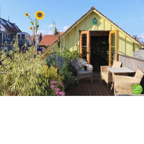 Bio-Ferienwohnung Ellensohn