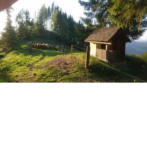 BIO-Peisingerhof