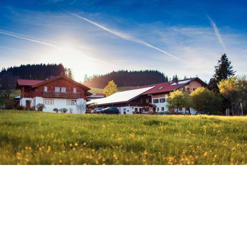 BioBauern- und Pferdehof Schöll