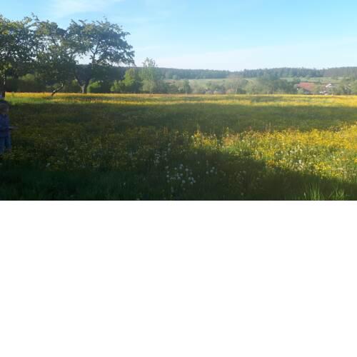 Biohaus naturnah, hell, großzügig und idyllisch