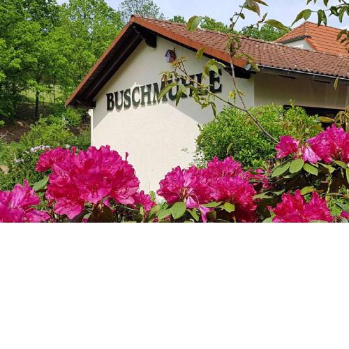Biohof Buschmühle