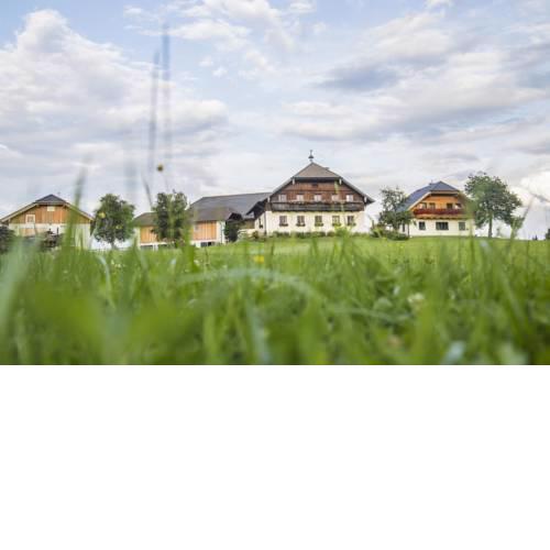 Biohof Poinsitgut