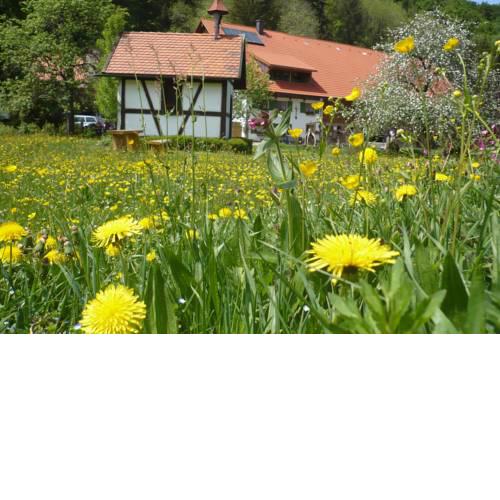 Biohof Schad