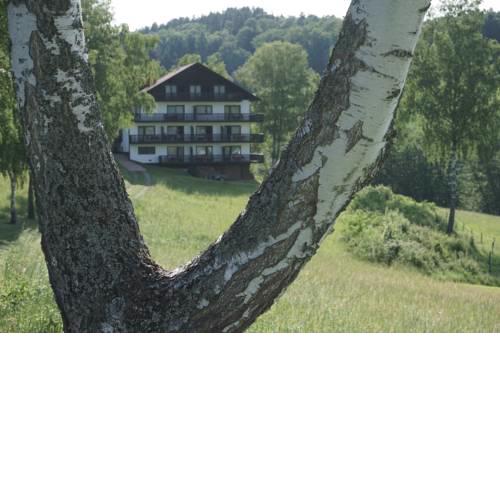 Birkenhof